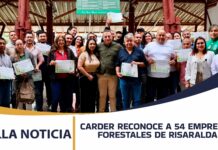 CARDER RECONOCE A 54 EMPRESAS FORESTALES DE RISARALDA POR SU COMPROMISO CON LA MADERA LEGAL Y LA SOSTENIBILIDAD