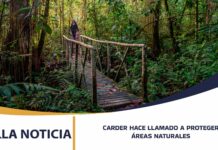 CARDER HACE LLAMADO A PROTEGER ÁREAS NATURALES Y RESTRINGE INGRESO DE ANIMALES DOMÉSTICOS Y EQUINOS