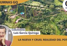 LA NUEVA Y CRUEL REALIDAD DEL POT