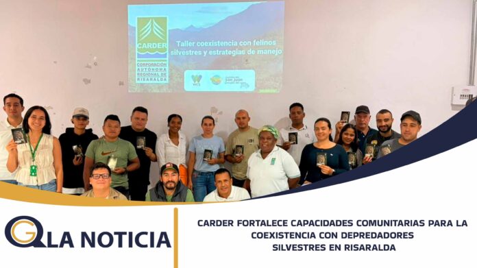 68-carder taller