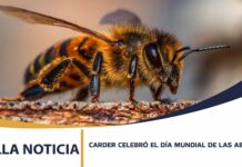 LA CARDER CELEBRÓ EL DÍA MUNDIAL DE LAS ABEJAS RECONOCIENDO EL GRAN PAPEL DE ESTAS POLINIZADORAS