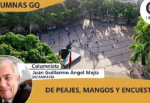 DE PEAJES, MANGOS Y ENCUESTAS