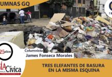 TRES ELEFANTES DE BASURA EN LA MISMA ESQUINA