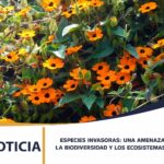 ESPECIES INVASORAS: UNA AMENAZA CRECIENTE PARA LA BIODIVERSIDAD Y LOS ECOSISTEMAS DEL EJE CAFETERO