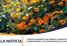 ESPECIES INVASORAS: UNA AMENAZA CRECIENTE PARA LA BIODIVERSIDAD Y LOS ECOSISTEMAS DEL EJE CAFETERO