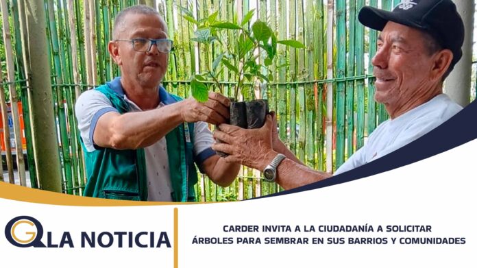 C-CARDER ARBOLES