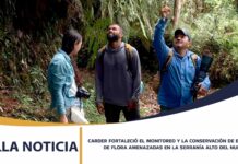 CARDER FORTALECIÓ EL MONITOREO Y LA CONSERVACIÓN DE ESPECIES DE FLORA AMENAZADAS EN LA SERRANÍA ALTO DEL NUDO