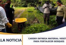 EN DOS PASOS PUEDE SOLICITAR MATERIAL VEGETAL A LA CARDER PARA FORTALECER LA COBERTURA BOSCOSA EN RISARALDA