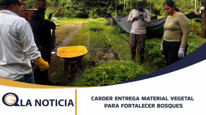 CARDER BOSCOSA