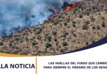 LAS HUELLAS DEL FUEGO: VEINTE AÑOS DEL INCENDIO QUE CAMBIÓ PARA SIEMPRE EL PÁRAMO DE LOS NEVADOS